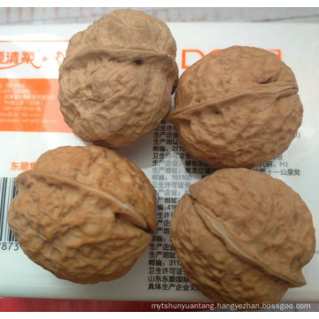 Professional supplier of organic whole walnuts in shell for sale